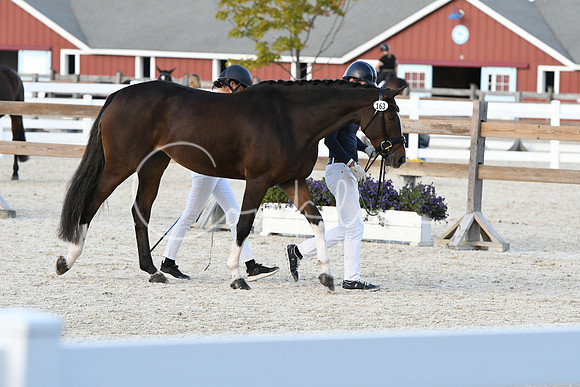 HSM_5332