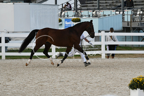 HSM_5409
