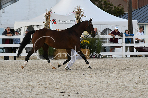 HSM_5414
