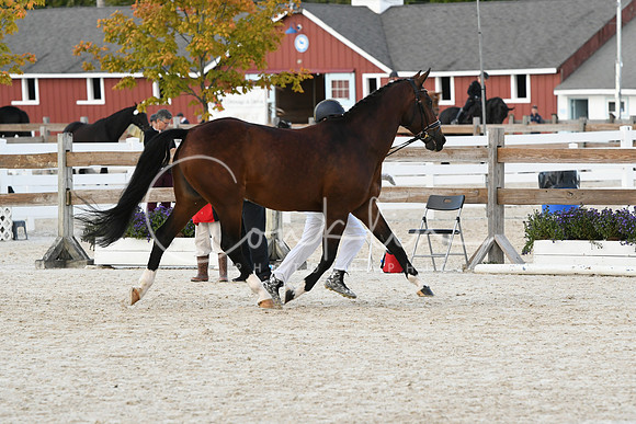 HSM_5418