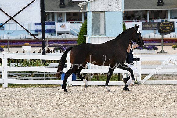 HSM_5260