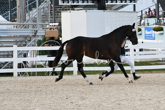 HSM_5265