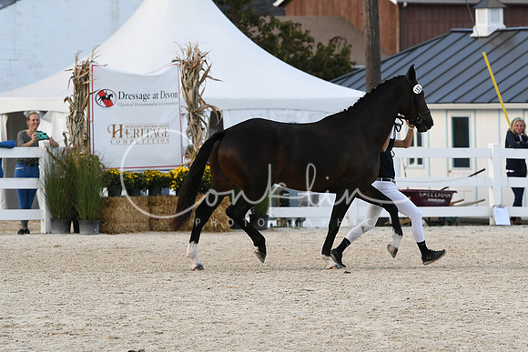 HSM_5270