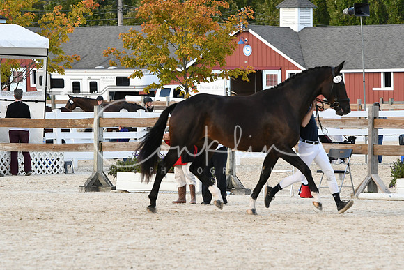 HSM_5271