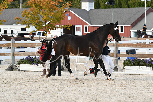 HSM_5272