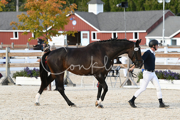 HSM_5274