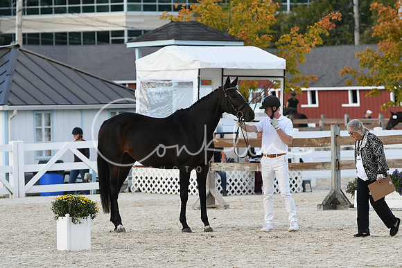 HSM_5279