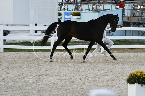 HSM_5289