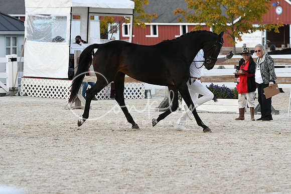 HSM_5295