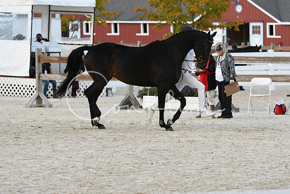 HSM_5296