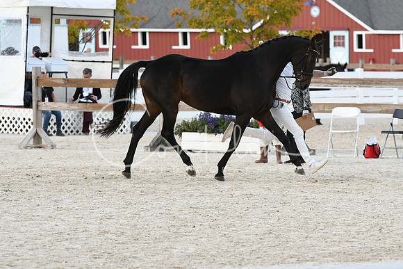 HSM_5297