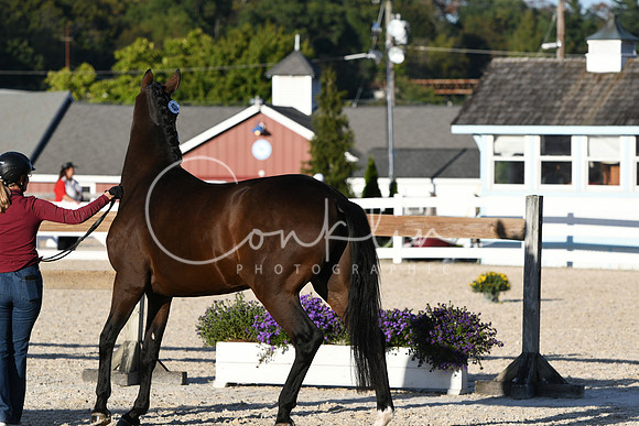 HSM_5492