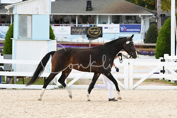 HSM_5240