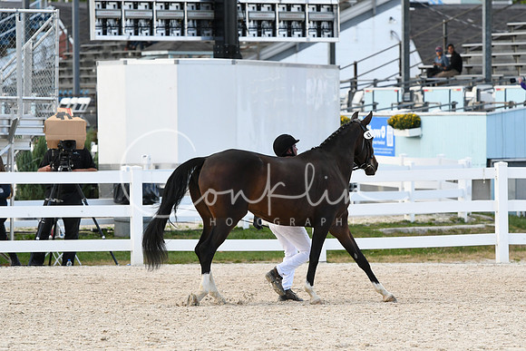 HSM_5243