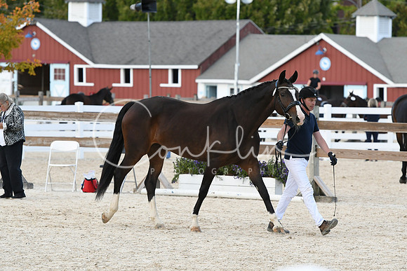 HSM_5251