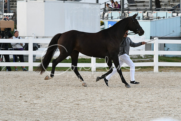 HSM_5436