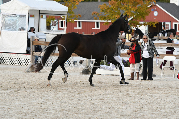 HSM_5441