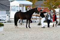 HSM_5458