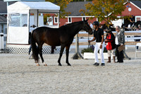 HSM_5462