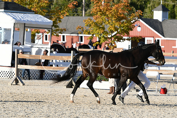 HSM_5474