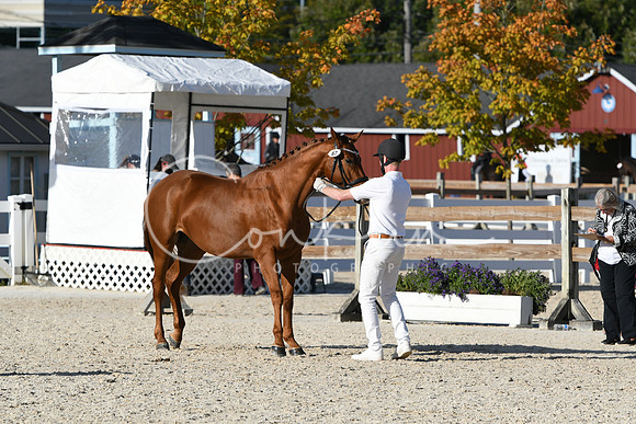 HSM_5196