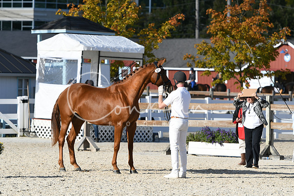 HSM_5197