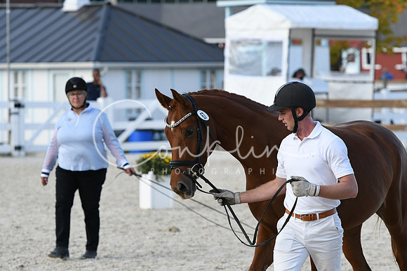 HSM_5201