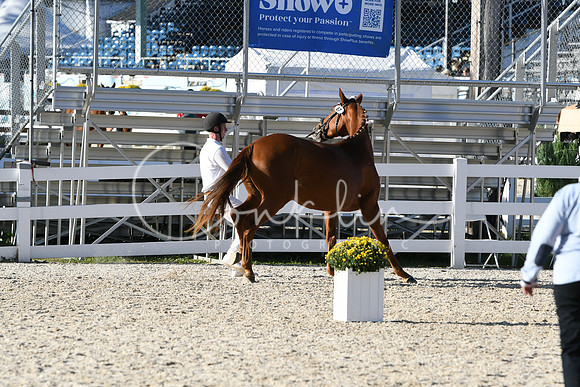 HSM_5203