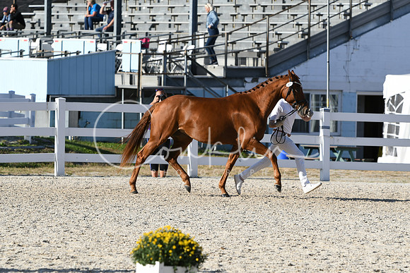 HSM_5205