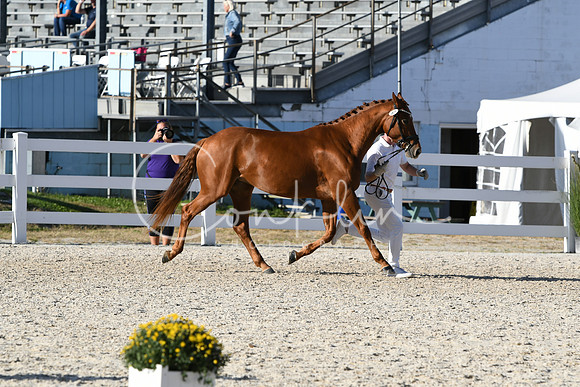 HSM_5206