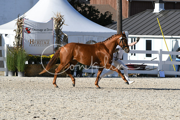 HSM_5208