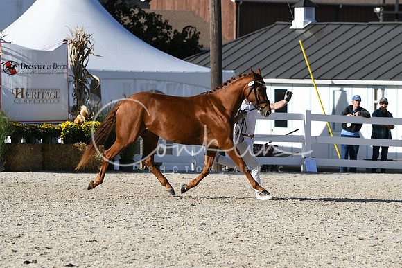 HSM_5209