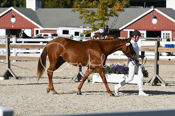 HSM_5217