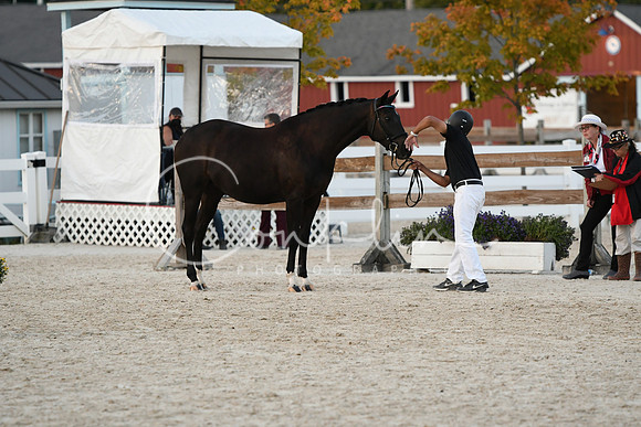 HSM_5815