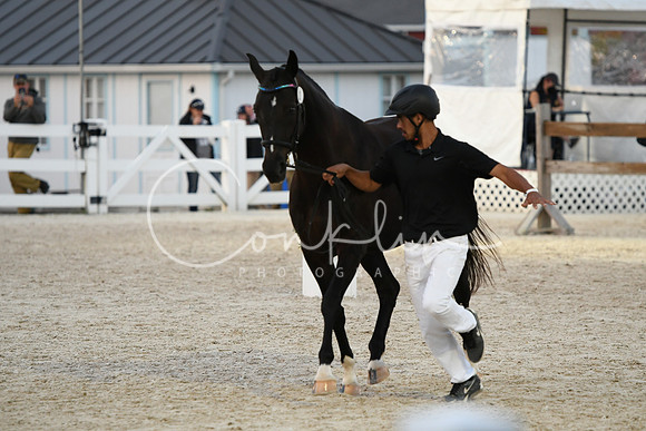 HSM_5818