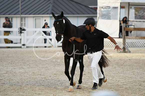 HSM_5819