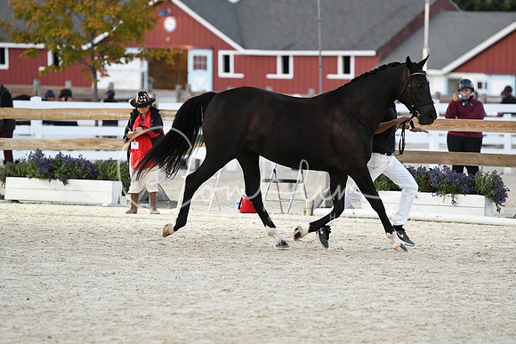HSM_5828