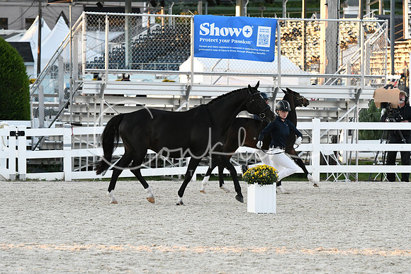 HSM_5739