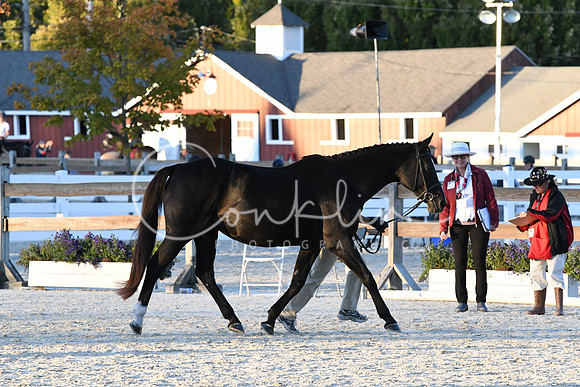 HSM_5709
