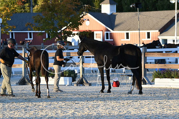 HSM_5717