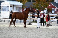 HSM_5834