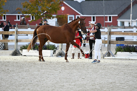 HSM_5838