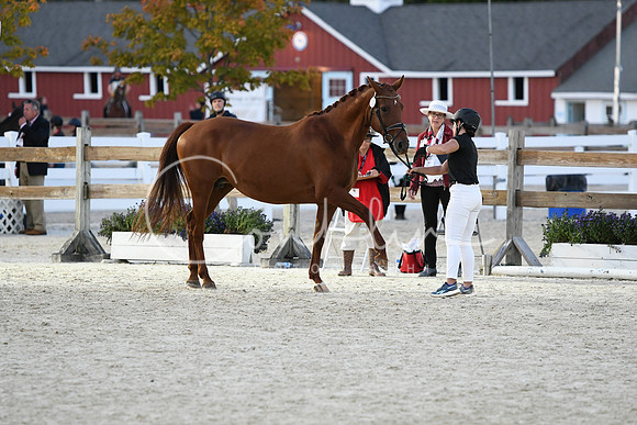 HSM_5839