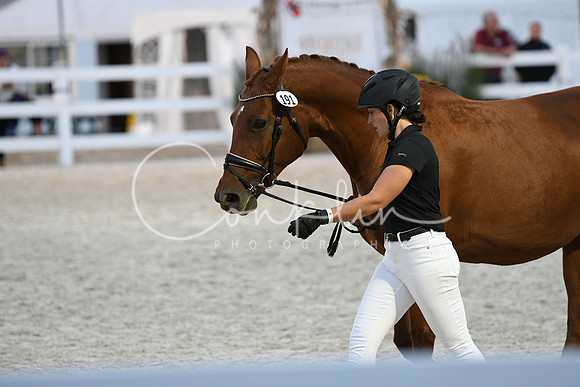 HSM_5841