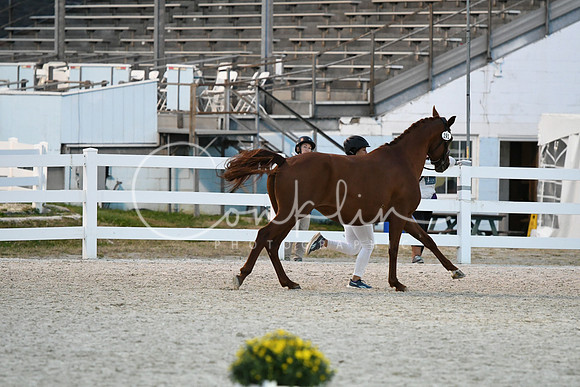 HSM_5847
