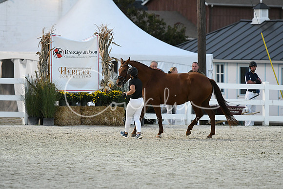 HSM_5849