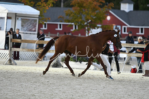 HSM_5851