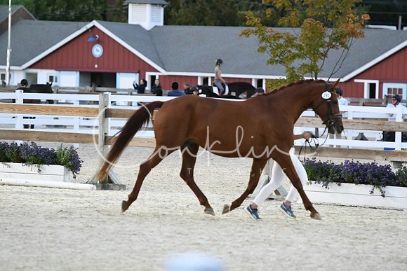 HSM_5853