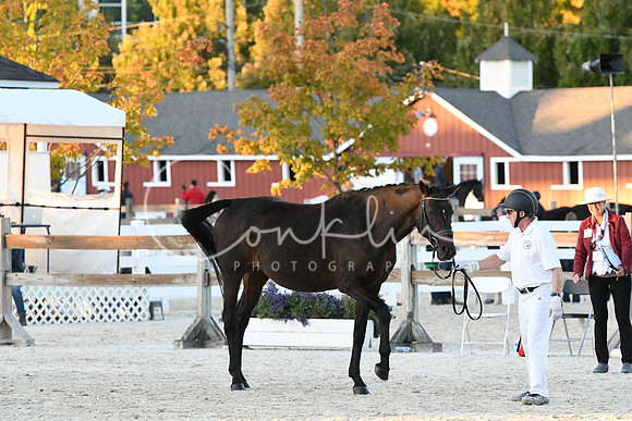 HSM_5753