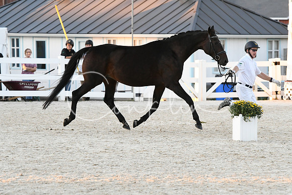 HSM_5771